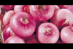 洋蔥是「蔬菜皇后」，不能跟它一起炒著吃，嚴重者會失明 