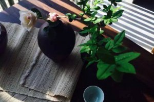 【茶要多點淡然 人要少點虛榮】 #常與他人分享也是一種功德... - 孫紅茶行 Sun Home Tea | Facebook