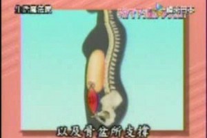 日本神奇的5分鐘瘦小腹操