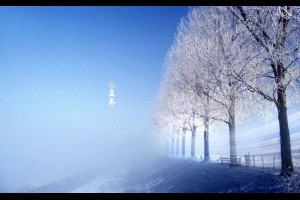 【10首最美立冬詩詞 帶你一覽初冬美景 】 #立冬 #補冬 #茶暖暖... - 孫紅茶行 Sun Home Tea | Facebook