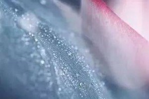 【祖先的10句話：讓人明白 讓人舒服 】1、多下及時雨，少放馬後砲... - 孫紅茶行 Sun Home Tea | Facebook