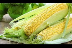 煮玉米時加上它，每天吃一個等於慢跑1小時，15天瘦身10斤 - 保健養生系列 - 月光仙子