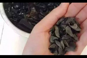 【補鈣】第 一 名 竟 是 它，骨骼疏鬆【想補鈣】就多吃它！！快看看吧
