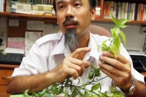 每天喝一杯，活血通便，降脂又降壓，心血管的剋星！閃文推薦 好文天堂