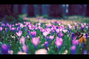 【五十歲以後最好的活法就這6個字！必讀】... - 孫紅茶行 Sun Home Tea | Facebook