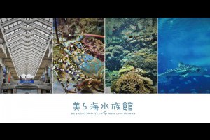 《日本沖繩自由行》亞洲最大水族館之超療癒鯨鯊●美麗海水族館 @ ★★★★布萊美旅團★★★★ (咖啡、美食、建築、設計、旅行) :: 痞客邦 PIXNET ::