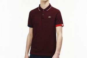 lacoste polo衫 時尚邊條拼色鱷魚刺繡男款短袖polo衫 酒紅_lacoste polo衫_Lacoste_運動服_adidas originals,adidas nmd,adidas ultra boost,adidas superstar|adidas官方目錄|adidas官方網台灣|adidas taiwan