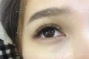 可愛無辜小狗眼使用咖啡色睫毛～是不是超級可愛!超級無辜！超級療癒呀！！！
