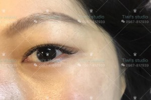 最近來了許多新寶貝都是經由熱心介紹來Tiwi這邊謝謝大家的支持愛護
