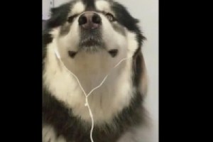 手腳冰涼的毛病怎麼治？寒性體質如何調理？