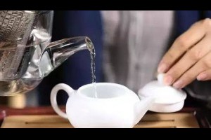 【年輕人，你從哪開始學的喝茶？ 】... - 孫紅茶行 Sun Home Tea | Facebook