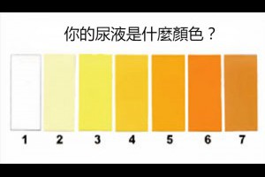 小便發黃是腎不好？尿液顏色竟傳遞了這麼多健康信號！ - 生活小常識 - 月光仙子