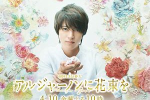 《獻給阿爾吉儂的花束》成人的世故與孩童的純真 - Movies電影思而得