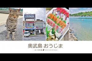 《日本沖繩自由行》貓島之奧武島上いまいゆ市場與天婦羅專賣中本鮮魚店 @ ★★★★布萊美旅團★★★★ (咖啡、美食、建築、設計、旅行) :: 痞客邦 ::