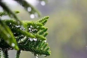 【珍惜身邊願意教你識茶喝茶之的人】... - 孫紅茶行 Sun Home Tea | Facebook