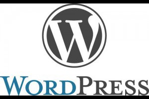Wordpress是什麼? 免費開放原始碼部落格PHP程式 支援中文版下載 | 資訊下載