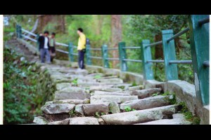 大陸兩三事回憶錄2005年港澳台高考上海考試