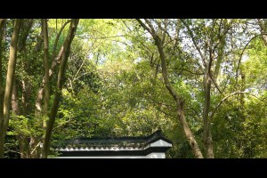 大陸杭州虎跑泉天下第三泉-張傑克JC