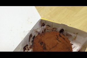 髒髒包與蛋撻邪惡組合熱量大爆表啊啊啊-張傑克JC
