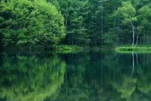 【故事很短，卻說穿了人性】故事一 甲不喜歡吃雞蛋，每次發了雞蛋都給乙吃。... - 孫紅茶行 Sun Home Tea | Facebook
