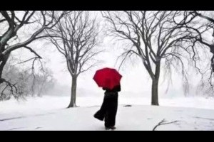 【孔子借傘 - 此生必看】1. 借傘... - 孫紅茶行 Sun Home Tea | Facebook