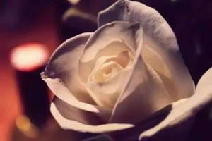 【經典短篇：富翁的遺言】... - 孫紅茶行 Sun Home Tea | Facebook