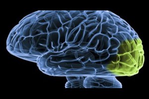 生活技.net: 研究大腦必須得先虛擬一個大腦