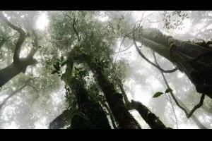 【什麼叫洗腦呢？今天總算明白了！ ！ 】... - 孫紅茶行 Sun Home Tea | Facebook