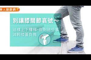 吃酪梨減重？減重名醫：這個時間吃效果最棒！ | 劉伯恩 | 新陳代謝科 | 內科 | 健康新知 | 華人健康網