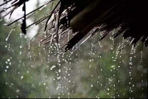 【茶，我們一生的信仰】入夜，一簾微雨，半盞清茶。... - 孫紅茶行 Sun Home Tea | Facebook
