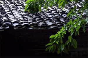 【學會了喝茶，老了也有事做】... - 孫紅茶行 Sun Home Tea | Facebook