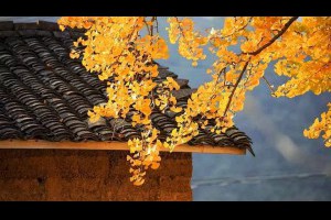 【珍重~~秋已至，請添衣。 】一夕之間，季節轉換了冷暖。... - 孫紅茶行 Sun Home Tea | Facebook