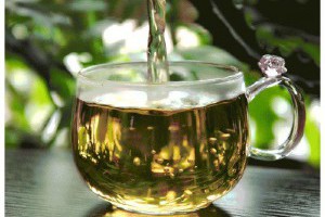 【身體退化是必然，喝茶就像保護傘】... - 孫紅茶行 Sun Home Tea