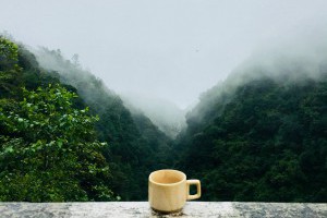 【茶葉“耐不耐泡”，到底跟什麼有關？ 】... - 孫紅茶行 Sun Home Tea | Facebook