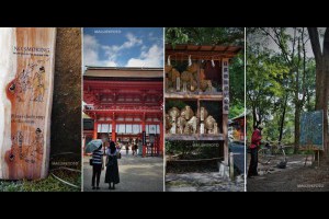 《日本關西京都自由行》Weekenders Coffee、下鴨神社(賀茂禦祖神社)與糺之森 @ ★★★★布萊美旅團★★★★ (咖啡、美食、建築、設計、旅行) :: 痞客邦 ::