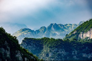 【與狼成狼， 與豬成豬！ - 好文推薦】... - 孫紅茶行 Sun Home Tea | Facebook