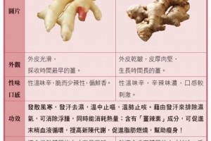 薑是體內最佳的除濕機！老薑、嫩薑效用大不同，你吃對了嗎？EZ生活分享 