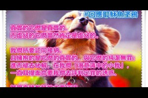  風雲海: 【回應耶穌魚塗鴉】真實的它們是真實的，而虛幻的它們當然肯定是虛幻的；我們所要認同接納且擁抱的是它們的真實的，與它們的純潔無罪；進而褪去化解，在我們「潛意識中的小我」。 
