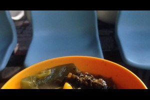 苗栗【銅鑼】九華山-適合全家出遊，不知道去哪裡的時候