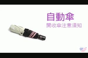 自動傘推薦 自動傘品牌-雨之戀/雨之情