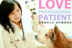 狗白內障,狗青光眼,動物眼科醫院推薦,台北獸醫 - 常明動物醫院
