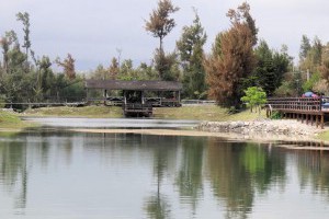琵琶湖 - 台東森林公園（南） - Jeff & Jill的窩 - udn部落格
