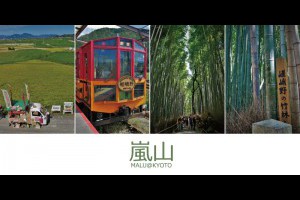 《日本關西京都自由行》龜岡站田野中出發的嵐山觀光小火車與嵐山竹林小徑 @ ★★★★布萊美旅團★★★★ (咖啡、美食、建築、設計、旅行) :: 痞客邦 ::