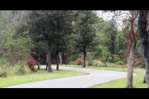 Jeff & Jill 的足跡: 花架隧道、活水湖 - 台東森林公園（中）