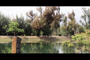 Jeff & Jill 的足跡: 琵琶湖 - 台東森林公園（南）