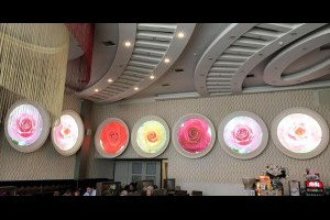 四界流嘴涎: 台南‧貴族世家