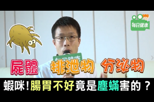 腸胃不好竟然是塵蟎害的？吳佳鴻醫師：「腸漏」元凶就躲在床單上