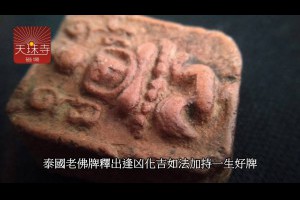 泰國老佛牌如理如法廣大妙喻龍婆班神獸崇迪單尾雞真品古董佛牌釋出泰國行走佛老佛牌玉佛寺阿贊多旗頂佛祖金力泥老佛牌一生好牌