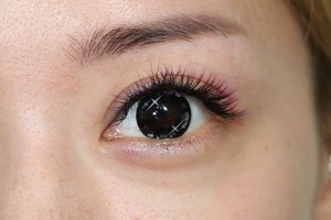 新莊美睫美甲首選新莊霧眉在哪裡有新北市美睫店推薦新莊接睫毛種睫毛美苙婕專業