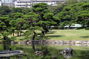 日本／東京都心賞櫻兼紅葉名所——浜離宮恩賜庭園 | u 值媒